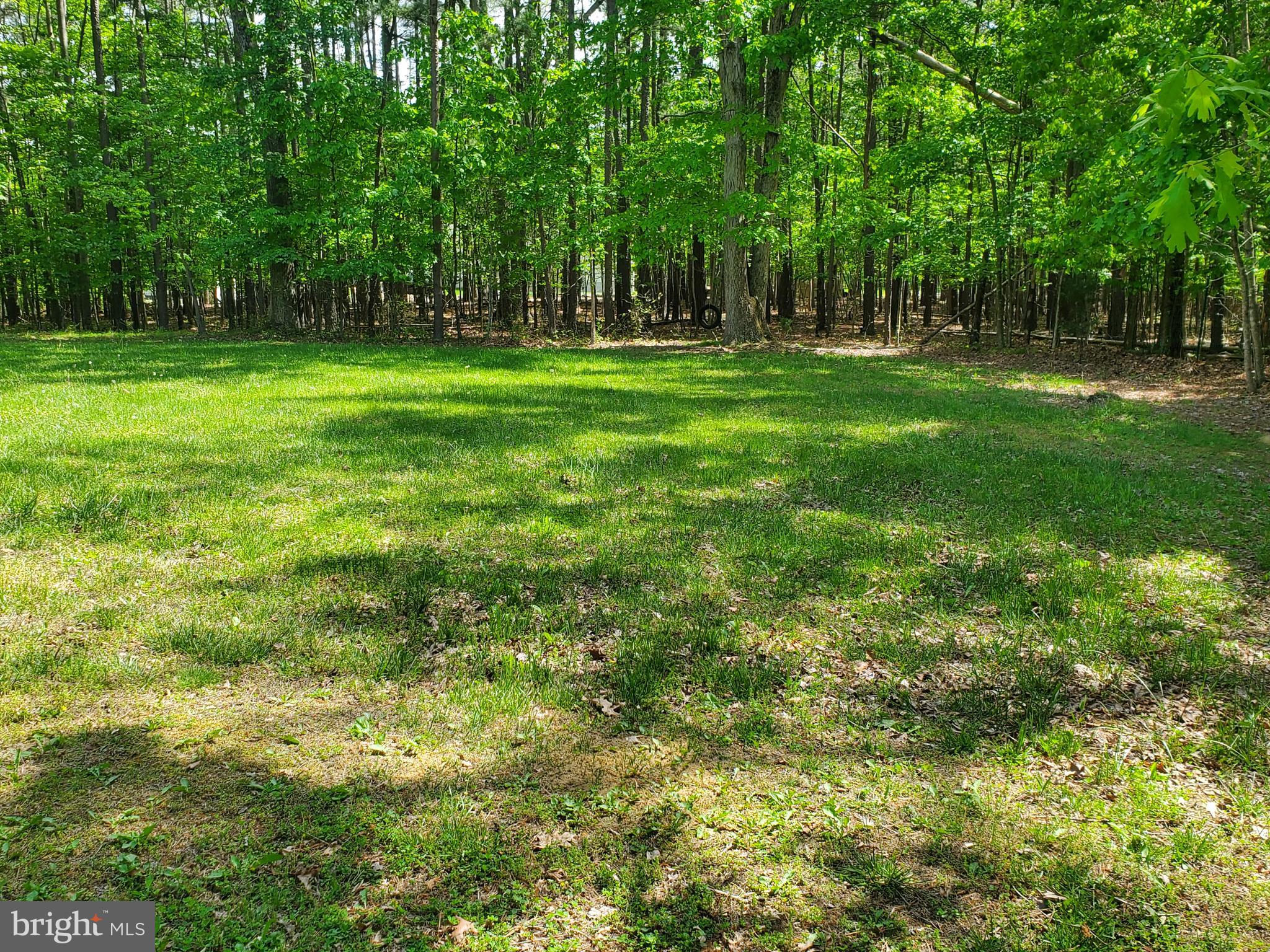 95 Red Burke Road Front Royal, VA 22630 - Photo 5 of 46 Gallery Image 5