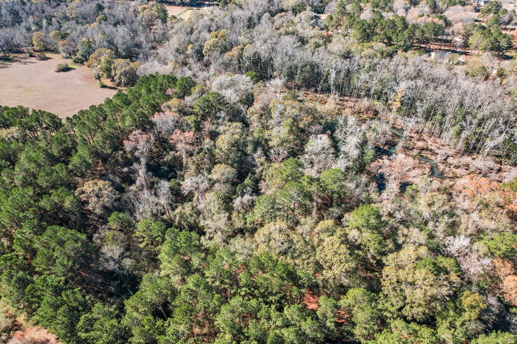 85 Sweetbay Trace Dothan, AL 36303 - Photo 74 of 76