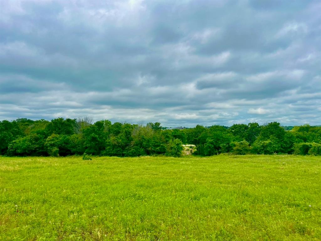 View of nature