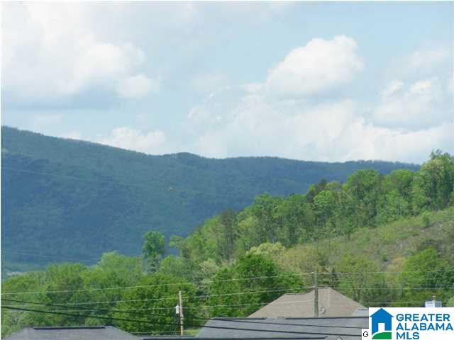200 Raptor Way Anniston, AL 36207 - Photo 2 of 30