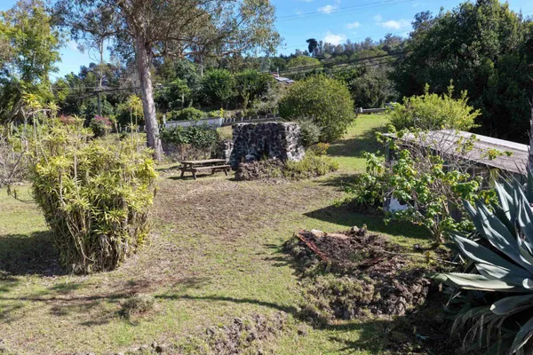 a view of a yard with plants