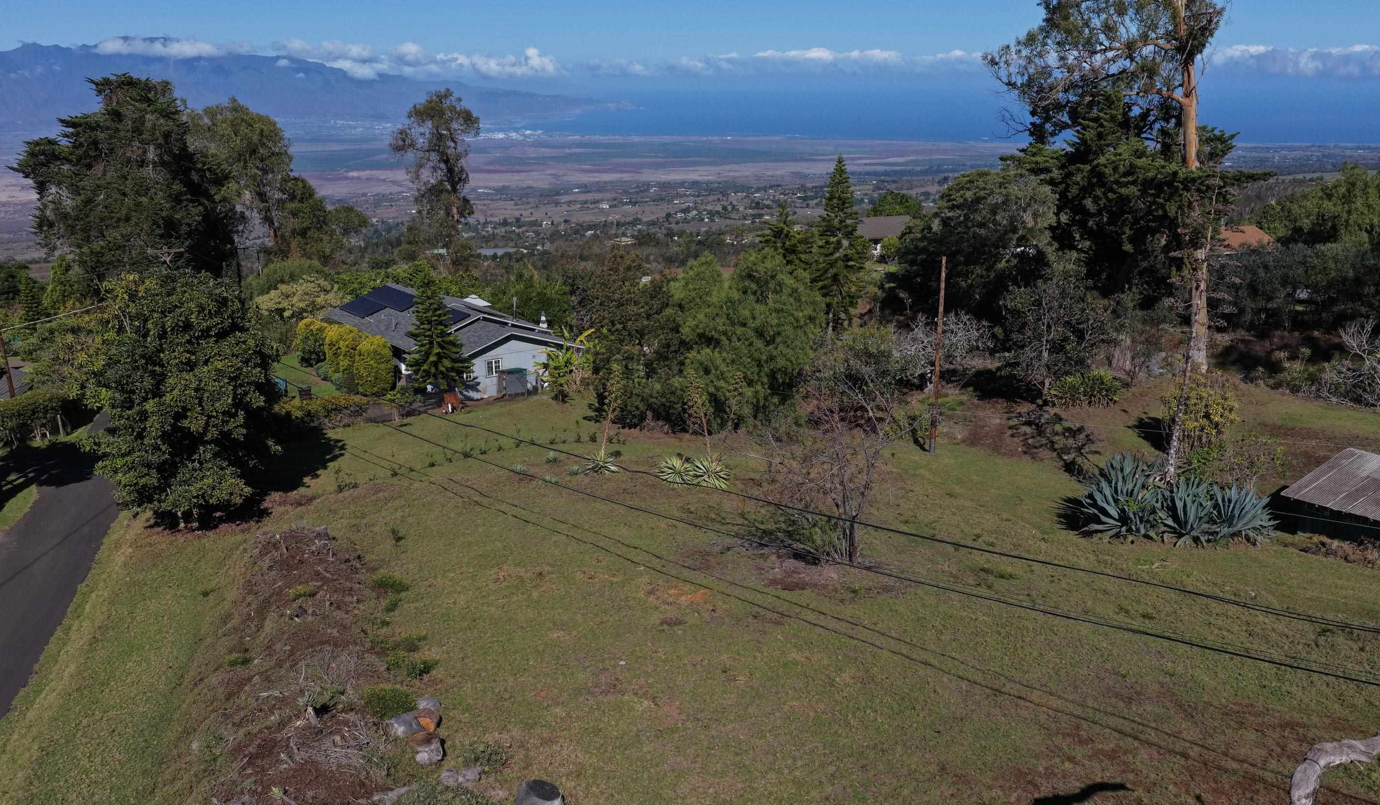 1575 Kamehameiki Road, Unit 1 Kula, HI 96790 - Photo 15 of 37 a view of a tree with a yard