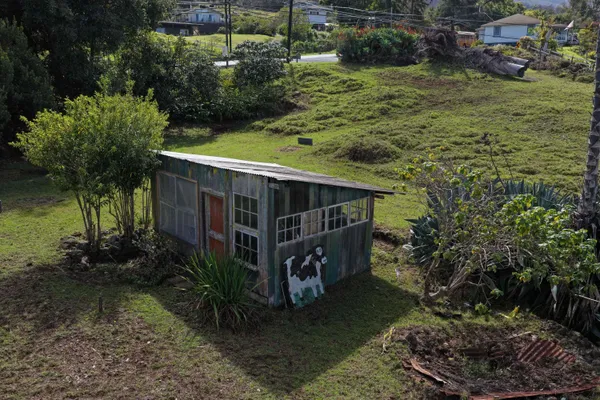 a view of a backyard with plants