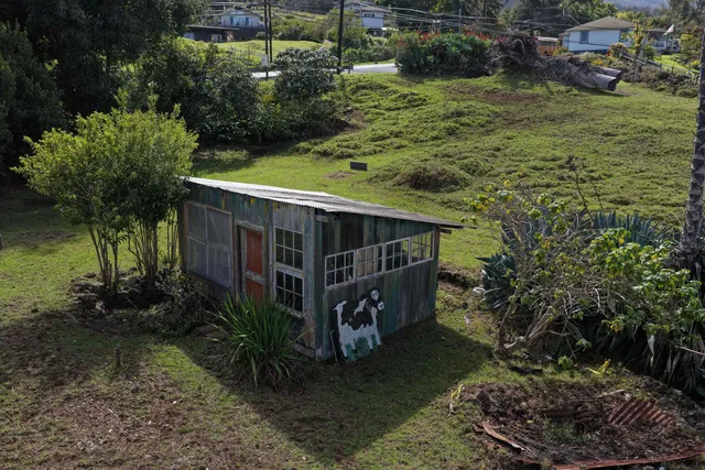 an outdoor view of a house with garden