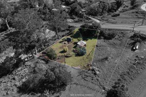 a view of a yard with plants