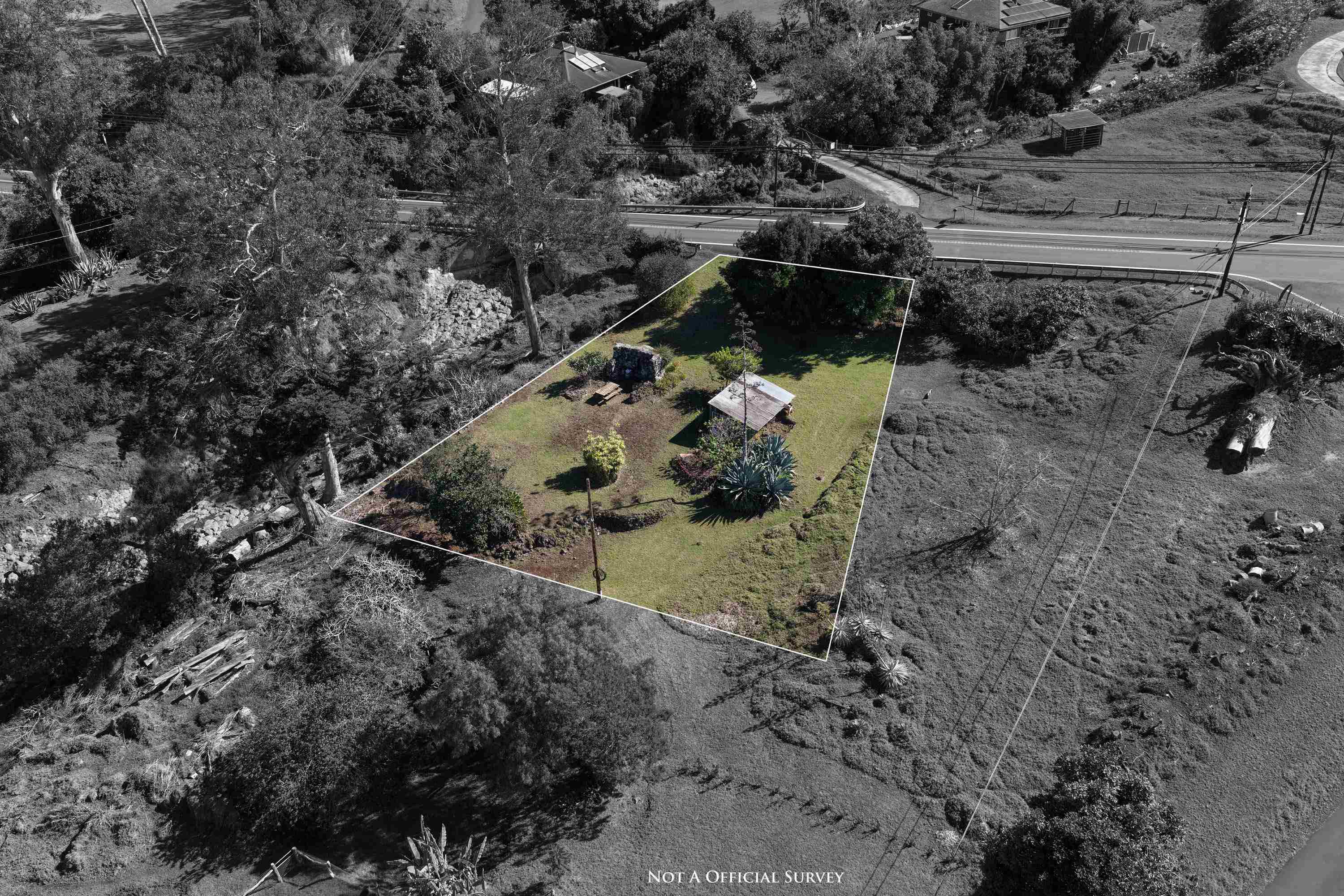 1575 Kamehameiki Road, Unit 1 Kula, HI 96790 - Photo 2 of 37 a view of a yard with plants