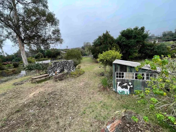 an outdoor view of a house with garden