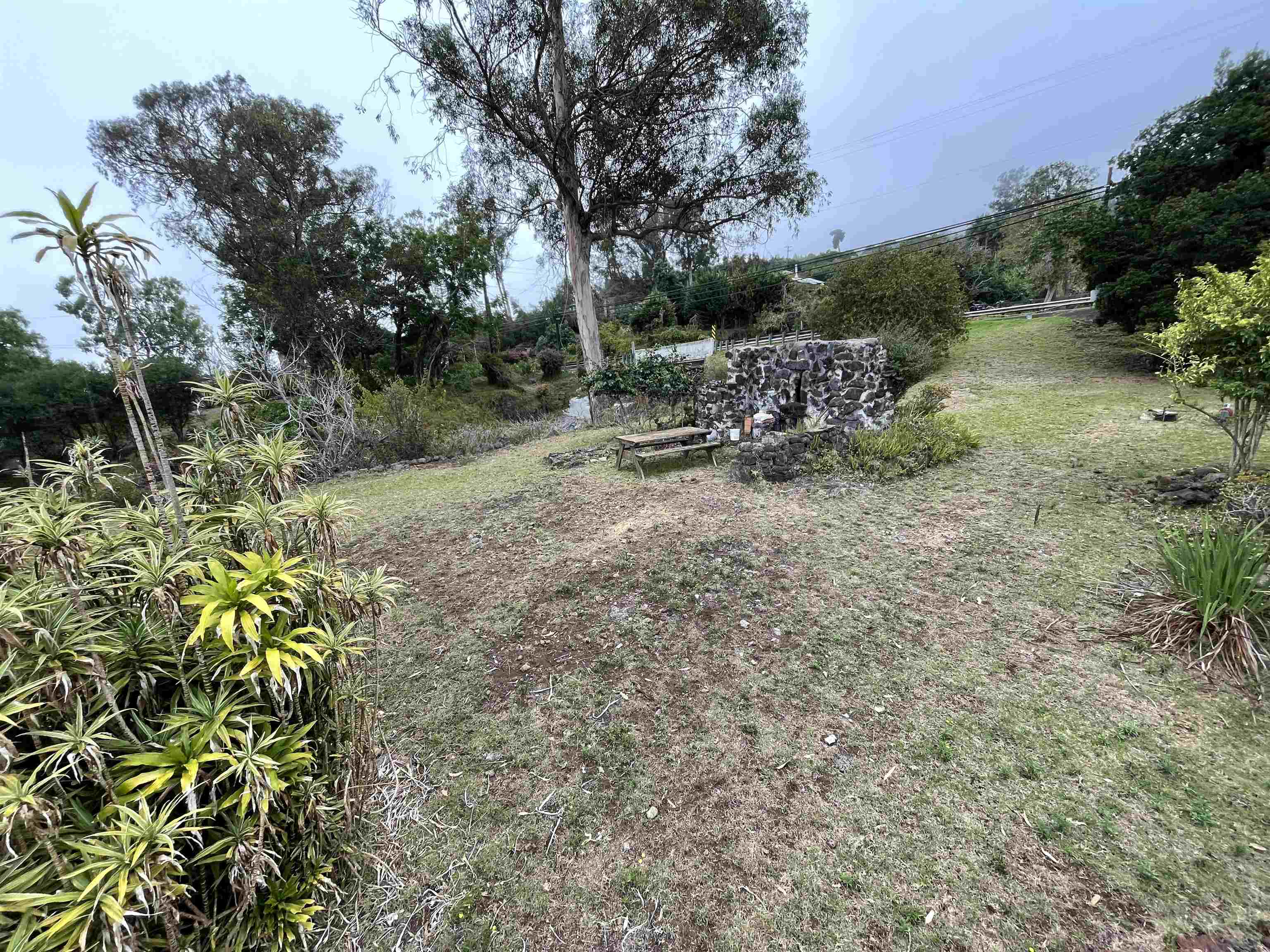 1575 Kamehameiki Road, Unit 1 Kula, HI 96790 - Photo 26 of 37 a view of a garden with an outdoor seating