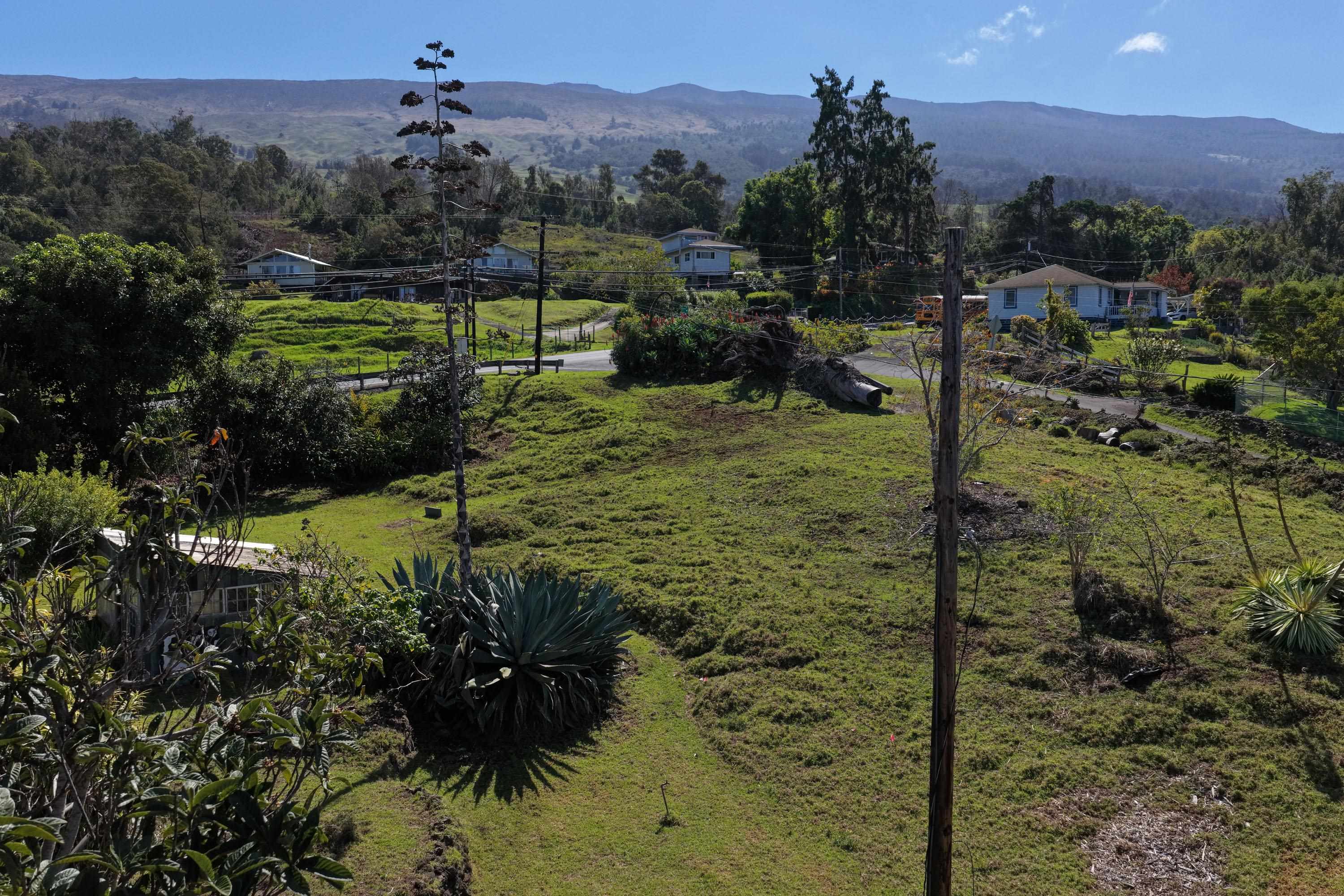 1575 Kamehameiki Road, Unit 1 Kula, HI 96790 - Photo 33 of 37 a view of a garden with a building in the background