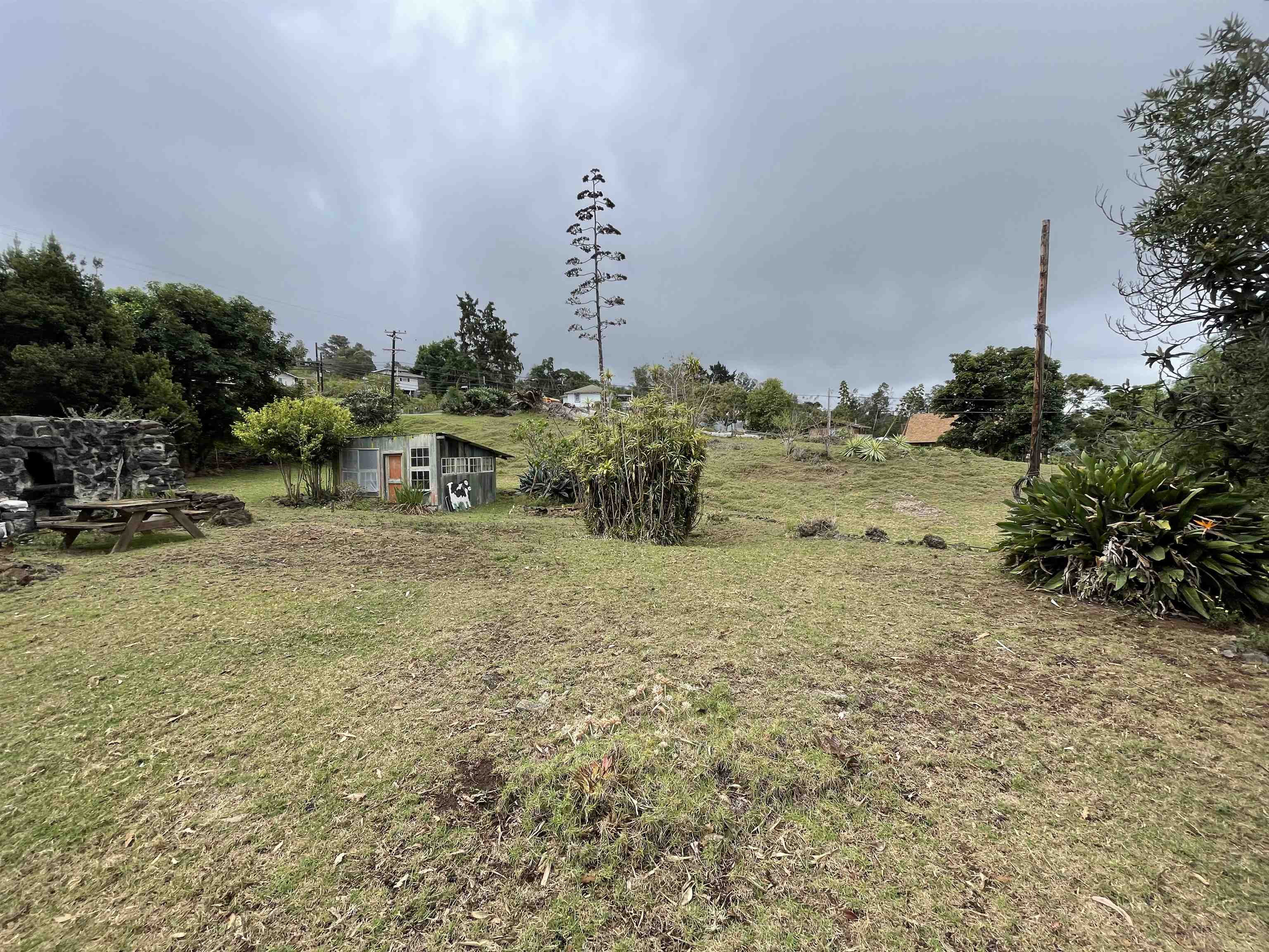 1575 Kamehameiki Road, Unit 1 Kula, HI 96790 - Photo 4 of 37 a view of a field with an trees