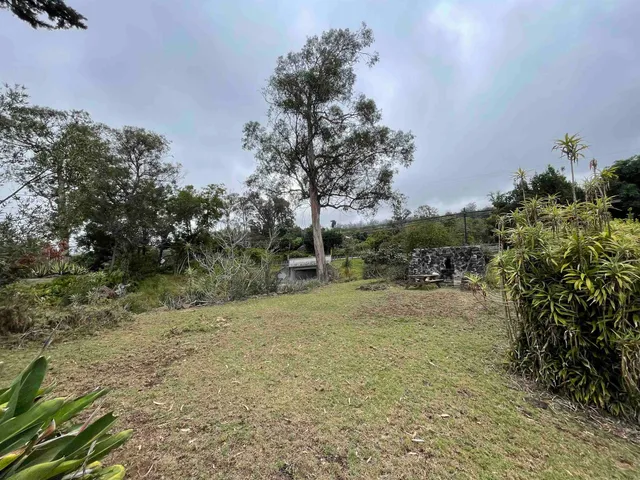 a view of a covered with trees