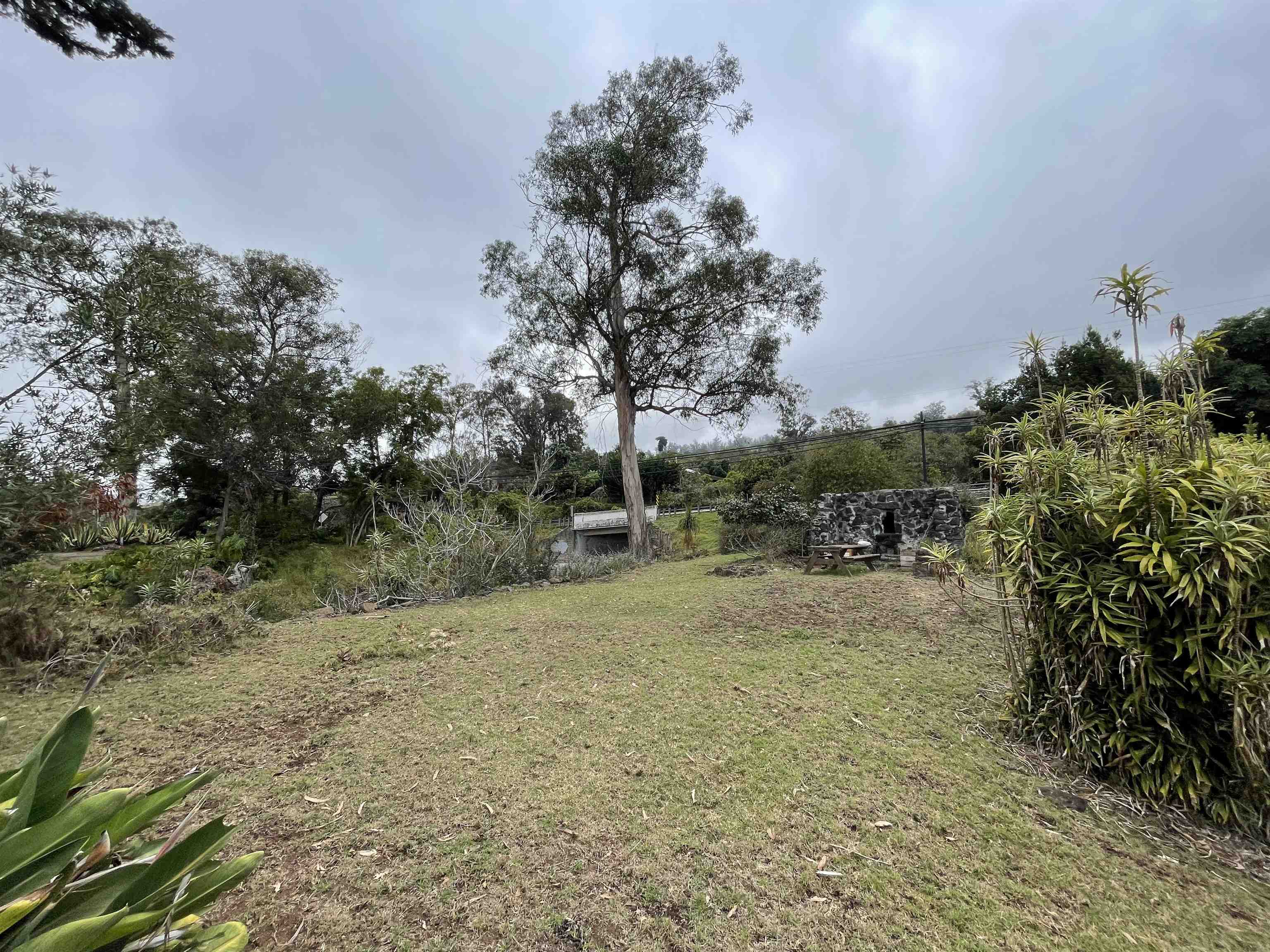 1575 Kamehameiki Road, Unit 1 Kula, HI 96790 - Photo 6 of 37 a view of a field with plants and trees