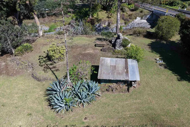 a view of a yard with plants