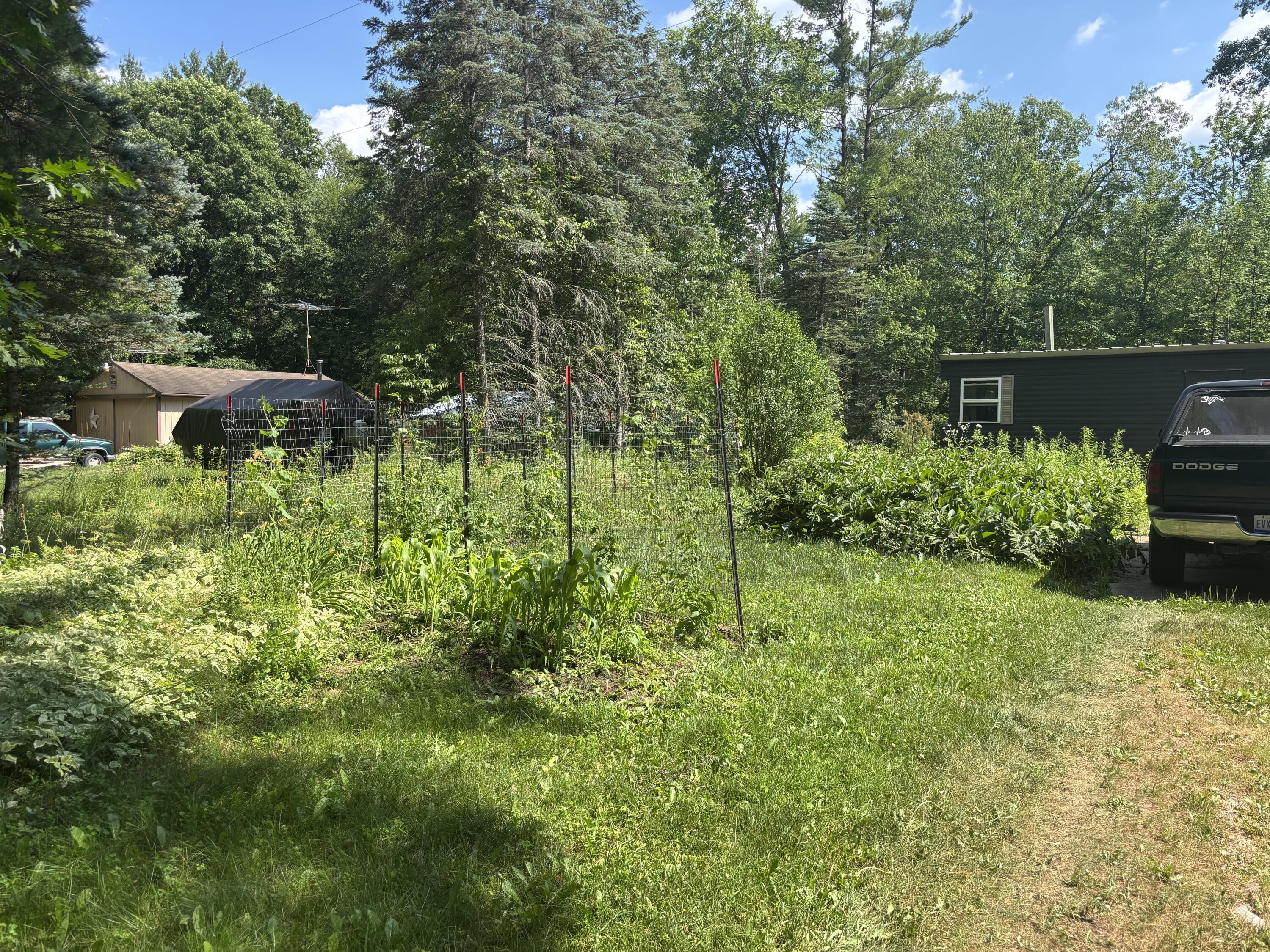 18309 Johnson Road Stanwood, MI 49346 - Photo 10 of 26 IMG_9152