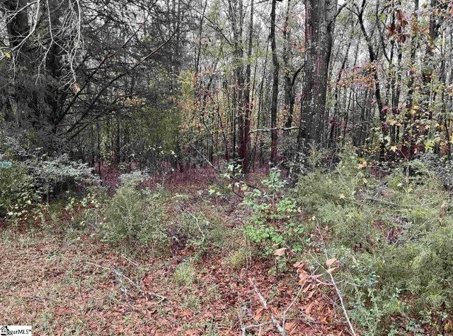 $136,900 | 1 Evergreen Church Road, Starr, SC 29684