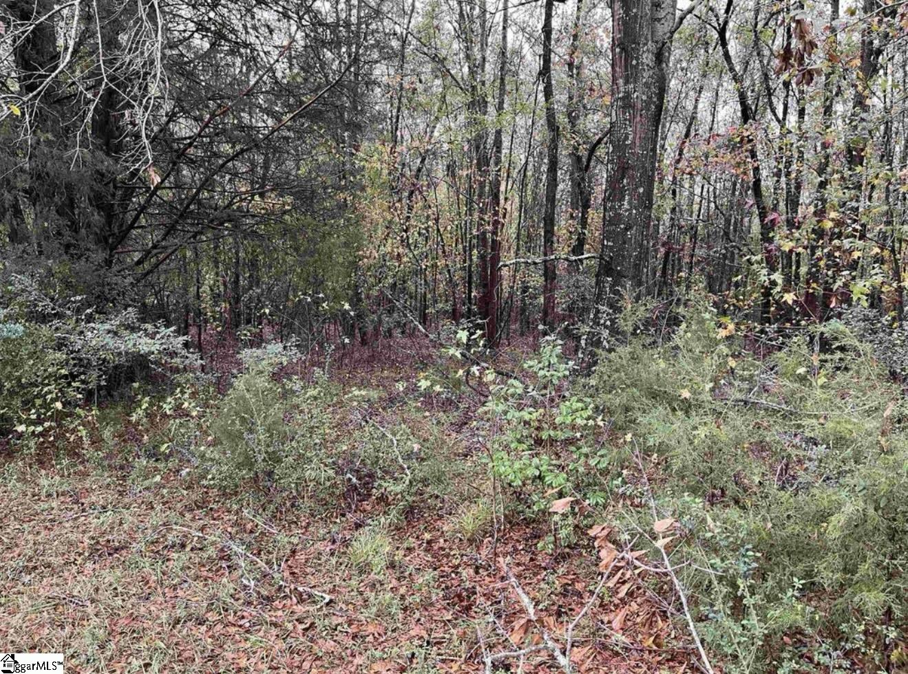 1 Evergreen Church Road Starr, SC 29684 - Photo 3 of 4