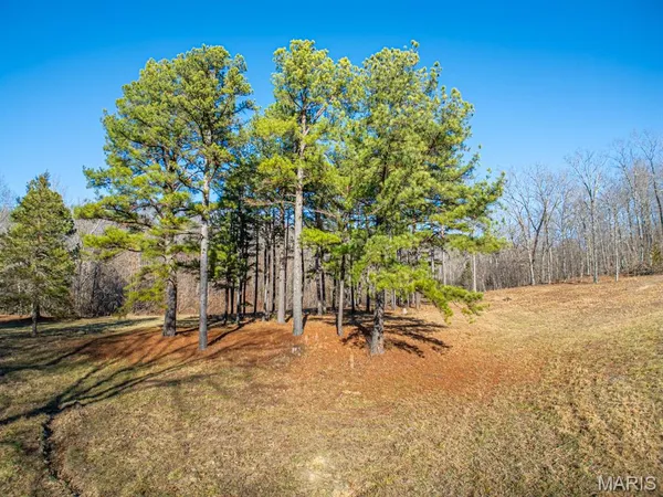 $810,000 | Undisclosed Address, Viburnum, MO 65566