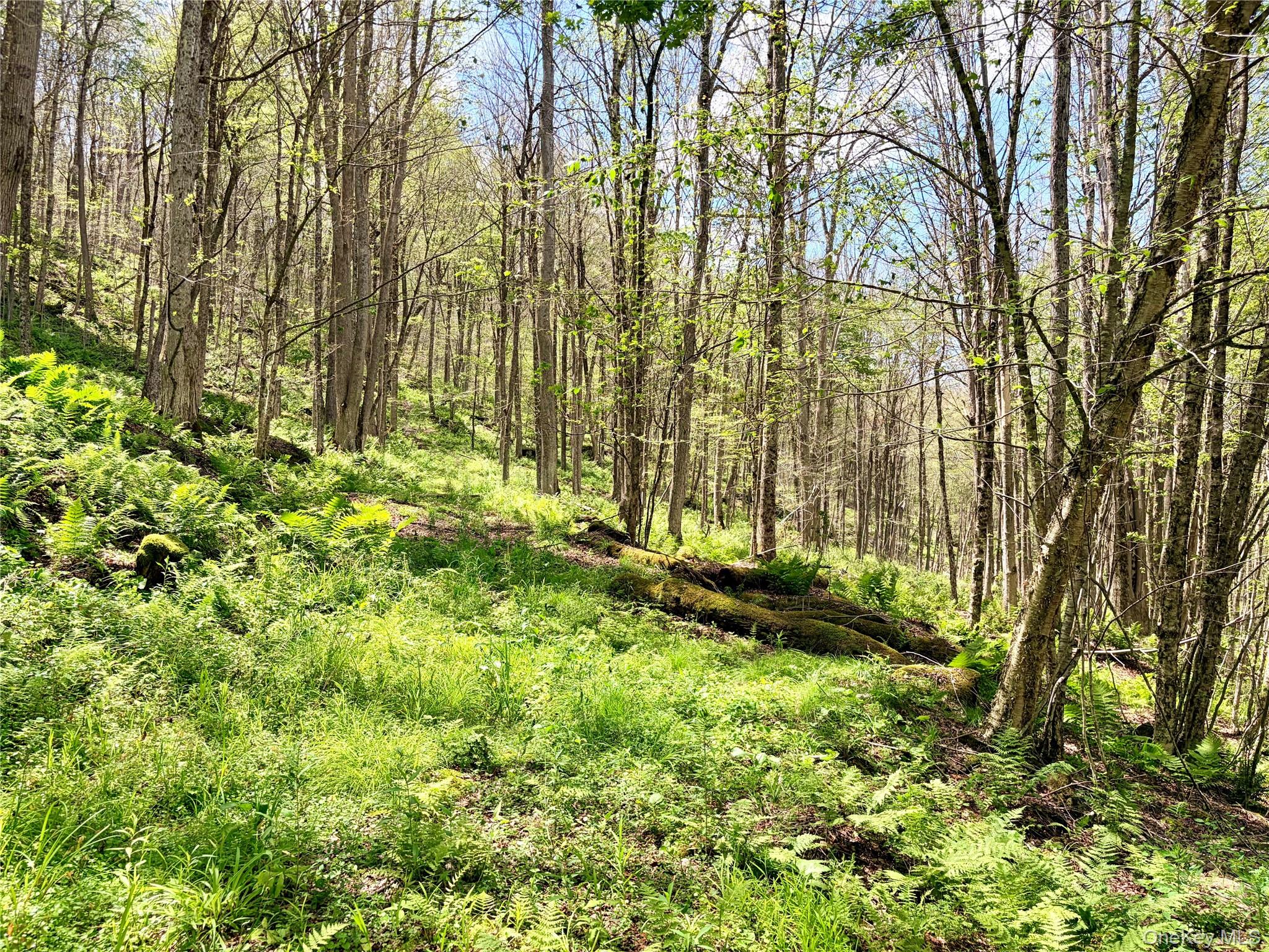 Doyle Road Roscoe, NY 12776 - Photo 6 of 14