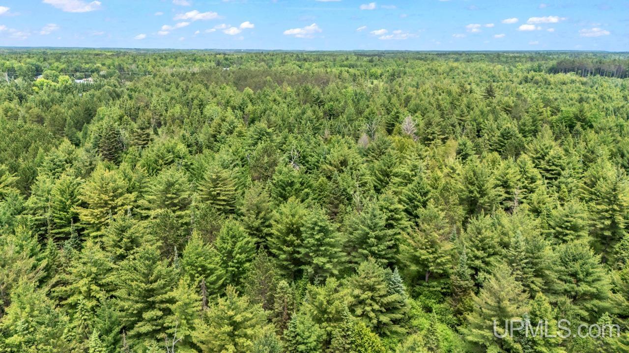13.75 13.75 Road Escanaba, MI 49829 - Photo 13 of 16