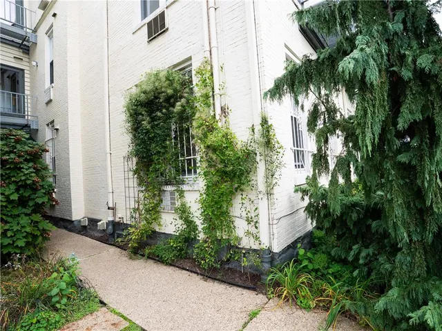 a view of a garden with plants