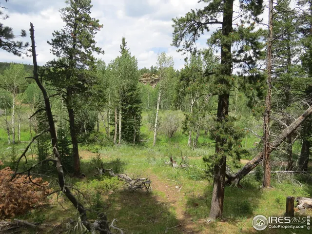$99,000 | 0 Peak To Peak Highway, Boulder, CO 80302