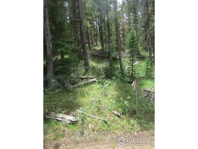 $99,000 | 0 Peak To Peak Highway, Boulder, CO 80302