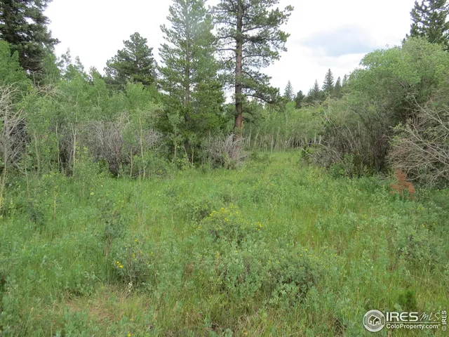 $99,000 | 0 Peak To Peak Highway, Boulder, CO 80302