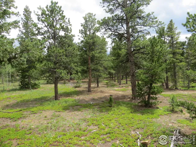 $99,000 | 0 Peak To Peak Highway, Boulder, CO 80302