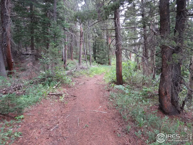 $99,000 | 0 Peak To Peak Highway, Boulder, CO 80302
