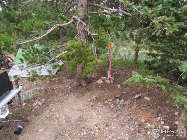 $99,000 | 0 Peak To Peak Highway, Boulder, CO 80302