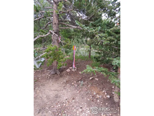 $99,000 | 0 Peak To Peak Highway, Boulder, CO 80302
