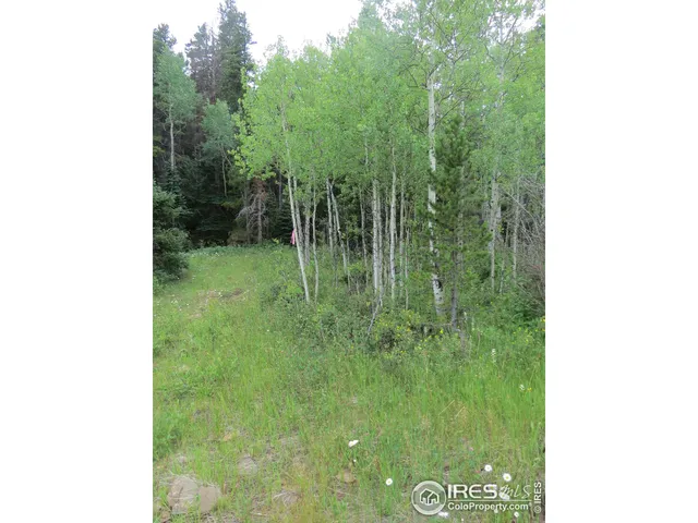 $99,000 | 0 Peak To Peak Highway, Boulder, CO 80302