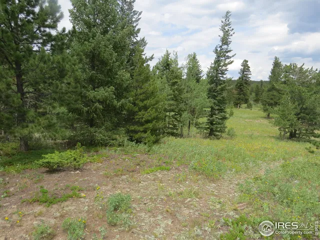 $99,000 | 0 Peak To Peak Highway, Boulder, CO 80302
