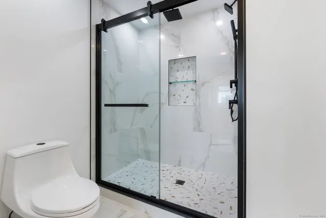 a bathroom with a shower and toilet