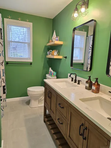 a bathroom with a toilet sink and green