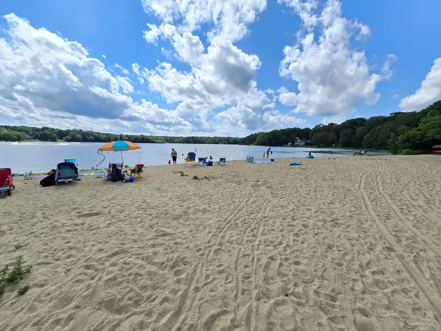 a view of open area with lots of trees