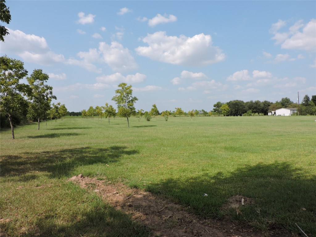 25730 Beckendorff Road Katy, TX 77493 - Photo 40 of 42 a view of a field with an ocean