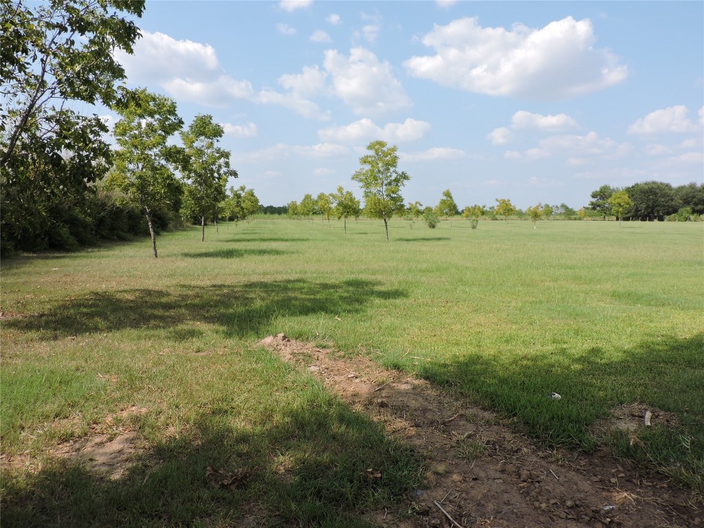 25730 Beckendorff Road Katy, TX 77493 - Photo 42 of 42 a view of a field with an trees in the background