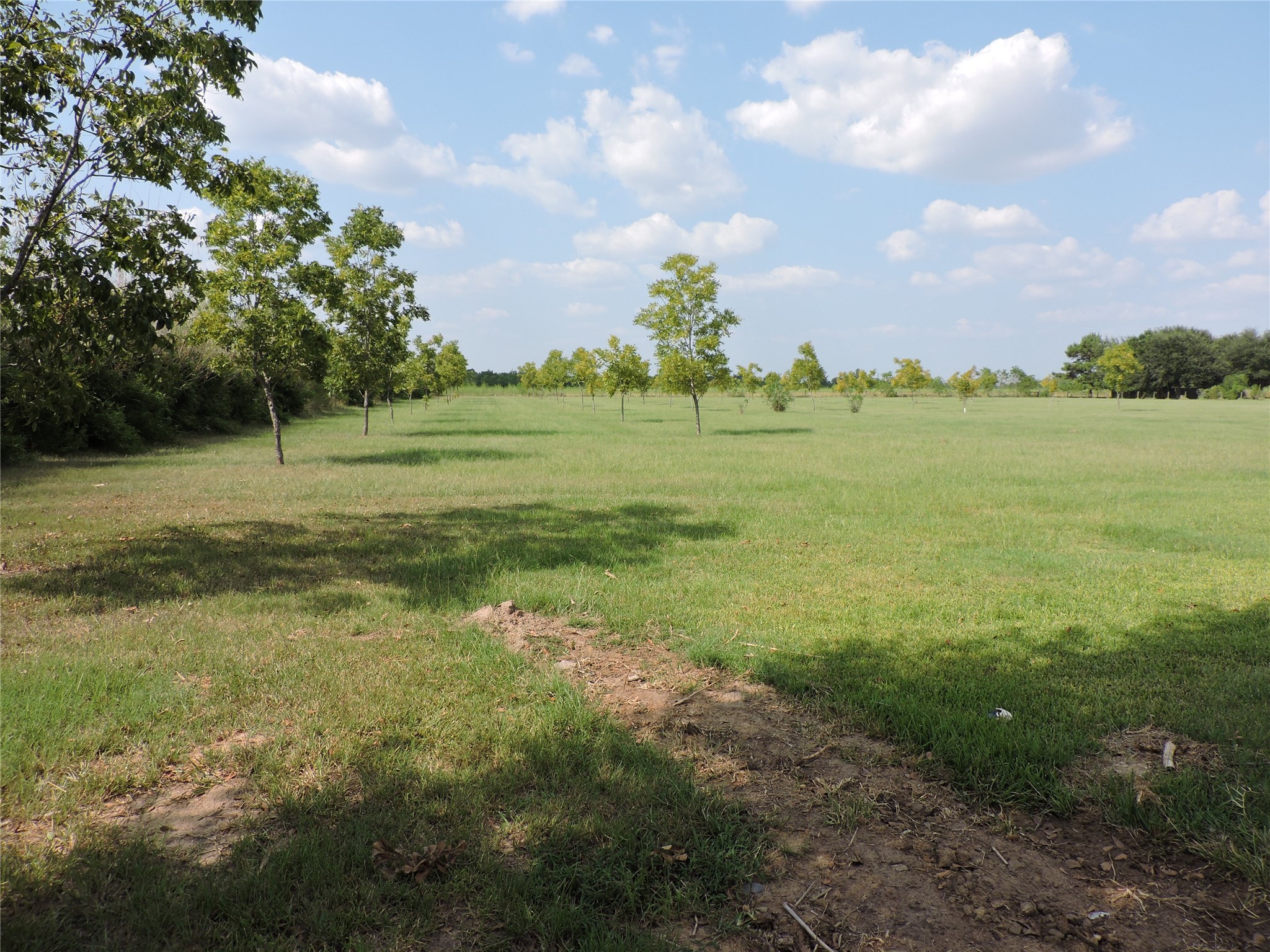 25730 Beckendorff Road Katy, TX 77493 - Photo 42 of 42