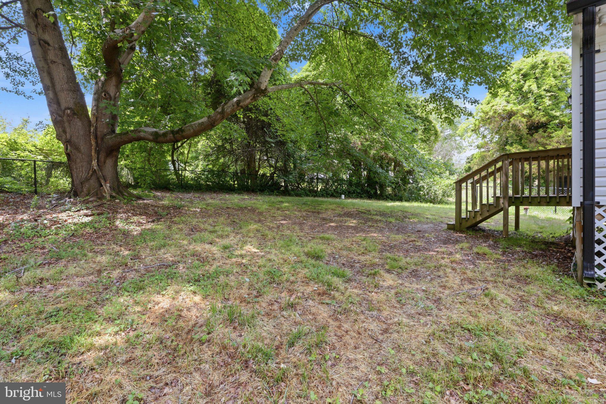 941 Pat Lane Huntingtown, MD 20639 - Photo 27 of 30 Spacious yard under lush greenery.