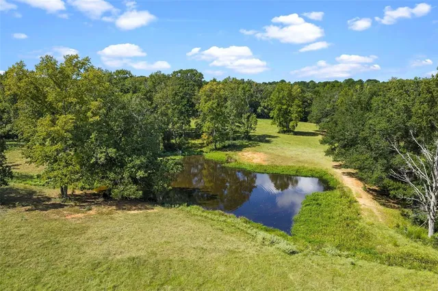 a view of a yard with swimming pool