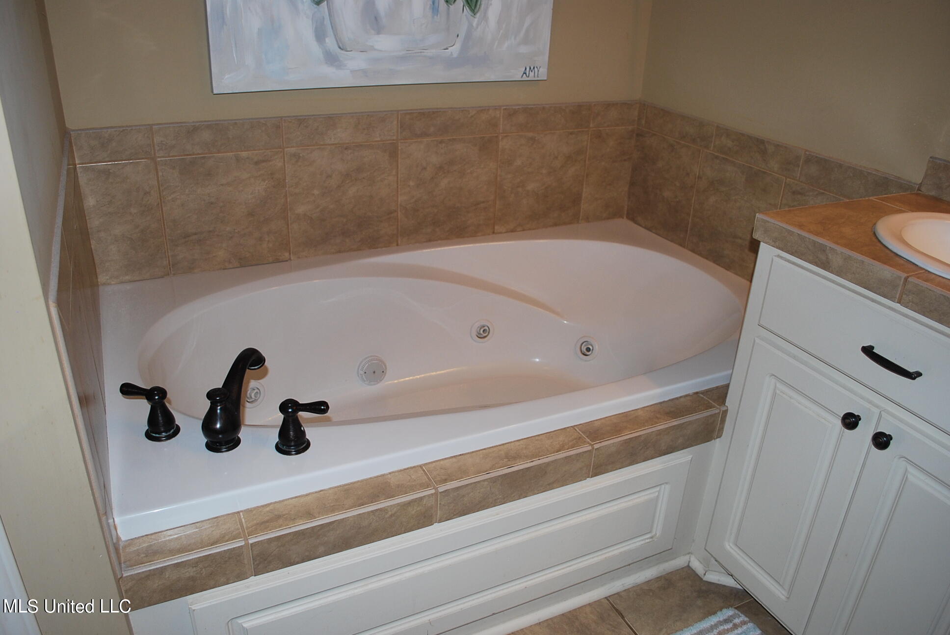 534 Springhill Crossing Brandon, MS 39047 - Photo 25 of 41 DSC_0019