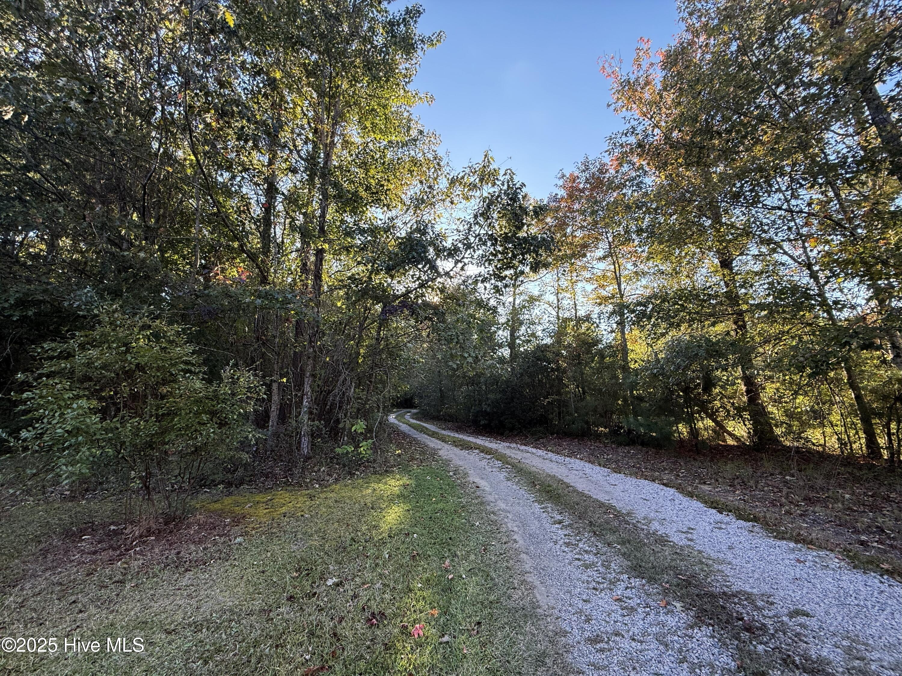 600 Mallard Drive Roper, NC 27970 - Photo 15 of 42 cm21