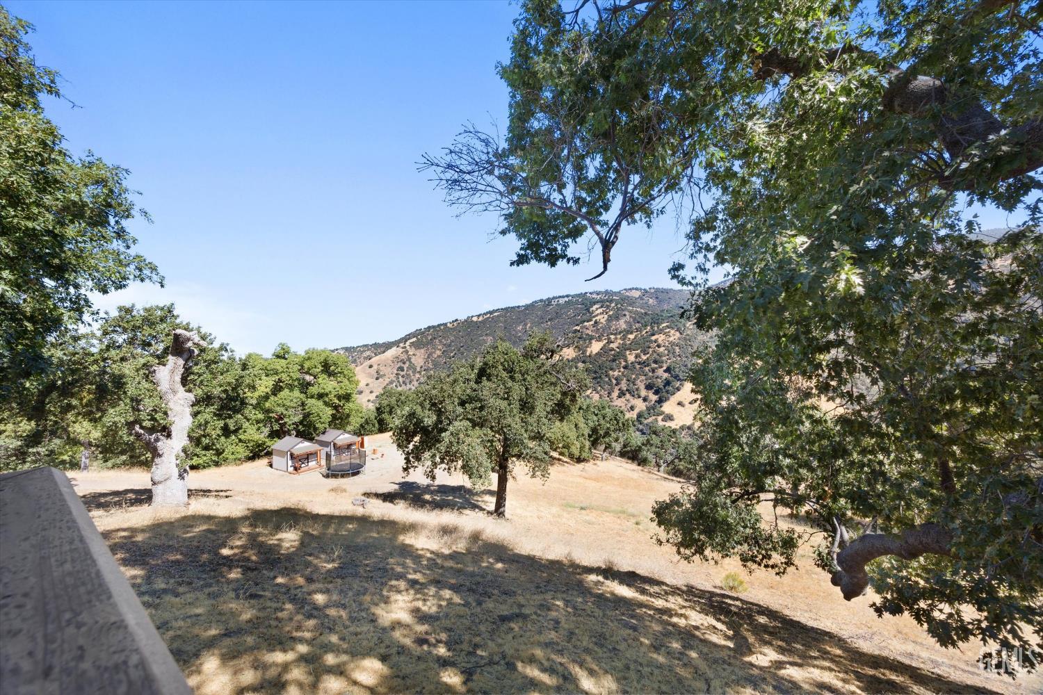 Undisclosed Address Tehachapi, CA 93561 - Photo 56 of 62 a view of a yard with a tree