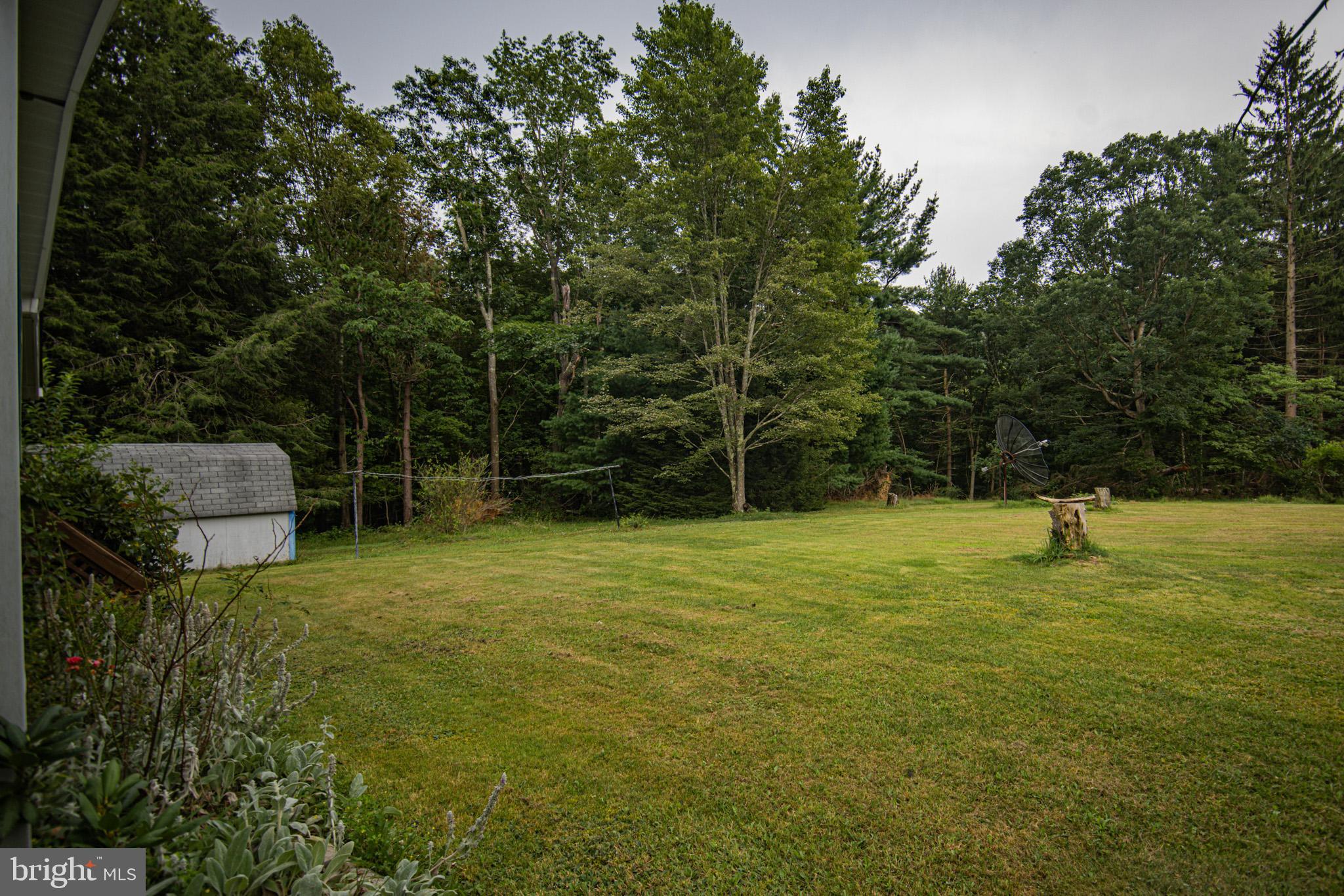 12376 Friendsville Road Friendsville, MD 21531 - Photo 33 of 37 a view of a yard