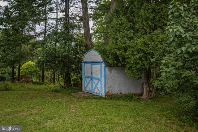 a backyard of a house with plants and large trees
