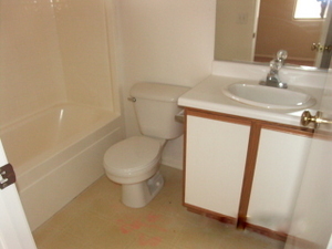 15011 West Redfield Road Surprise, AZ 85379 - Photo 5 of 8 Hall Bath