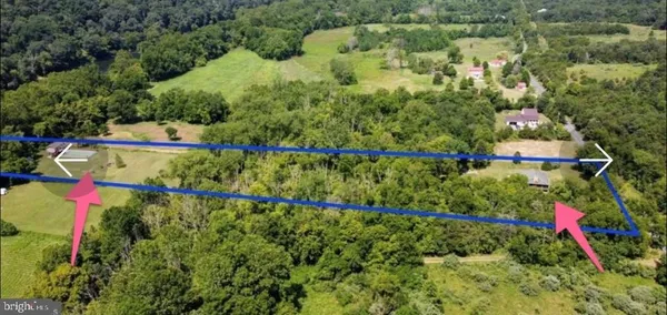 a view of statue in the garden