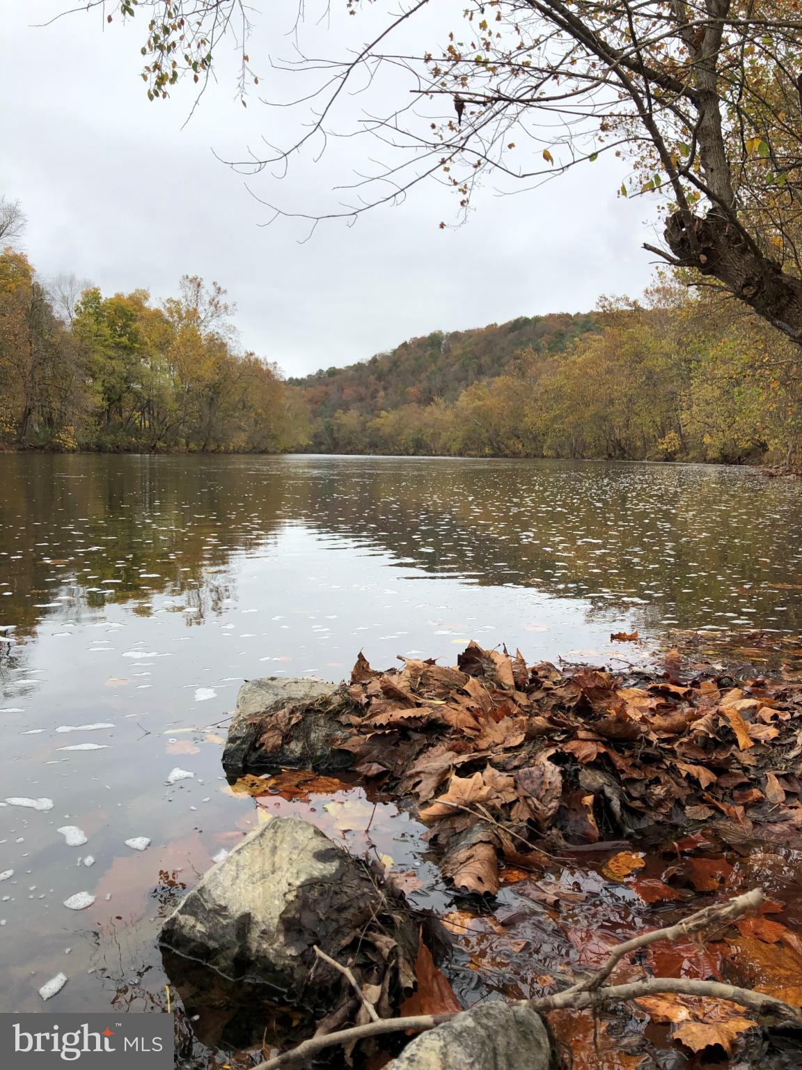 5532 Page Valley Road Luray, VA 22835 - Photo 40 of 42 a view of a lake in between two trees