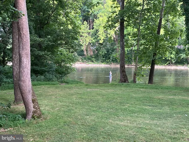 a view of a backyard with large trees